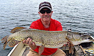 BIG 38.5-inch Northern Pike Fishing by Paul at Fireside Lodge in Canada